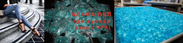 apvp Алзамай