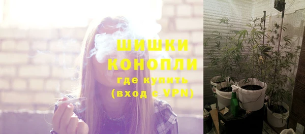 PSILOCYBIN Алексин
