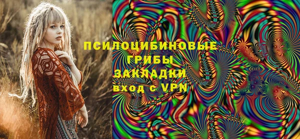 apvp Алзамай