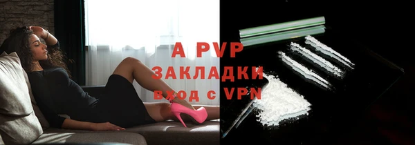 apvp Алзамай