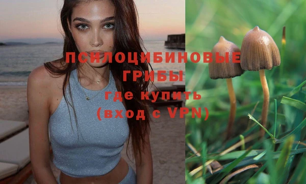 ECSTASY Алексеевка
