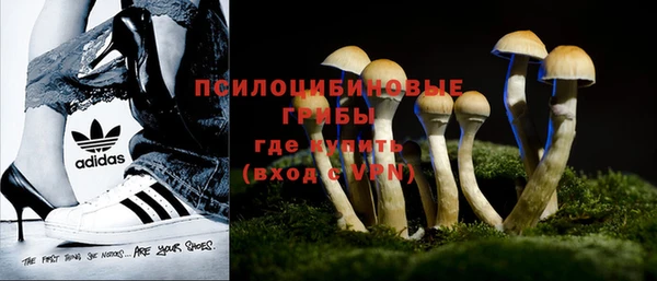 PSILOCYBIN Алексин